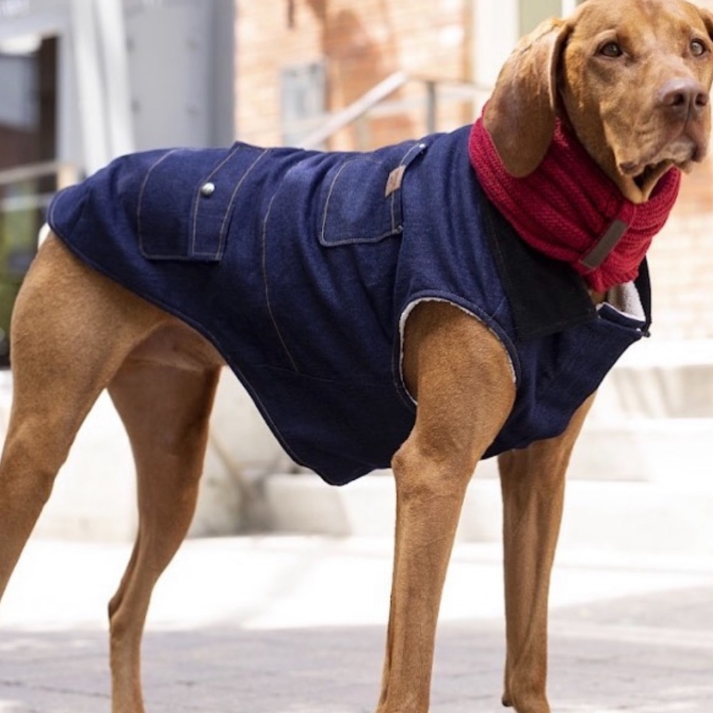 Canada Pooch Coat